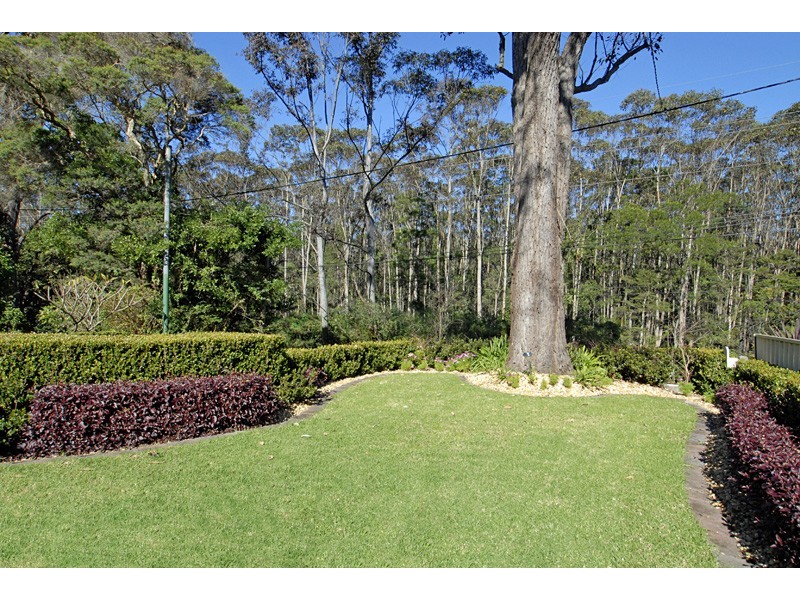 53 Lakala Avenue, Springfield NSW 2250