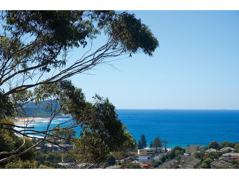 193 Scenic Highway, North Avoca NSW 2260