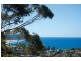 193 Scenic Highway, North Avoca NSW 2260
