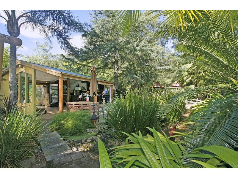 221 Wattle Tree Road, Holgate NSW 2250