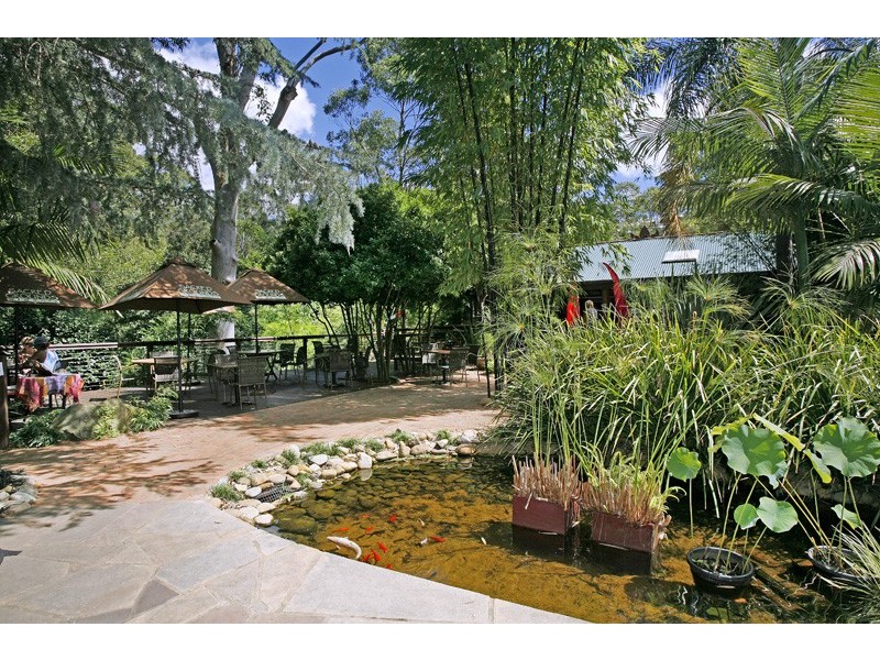 221 Wattle Tree Road, Holgate NSW 2250