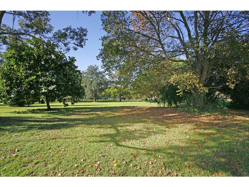 449 Tumbi Road, Wamberal NSW 2260