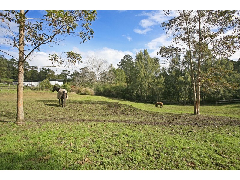 124 Oak Road, Matcham NSW 2250