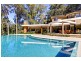 48 Brush Rd, Wamberal NSW 2260