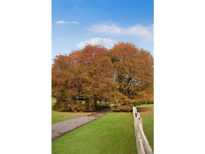 118 Coachwood Road, Matcham NSW 2250