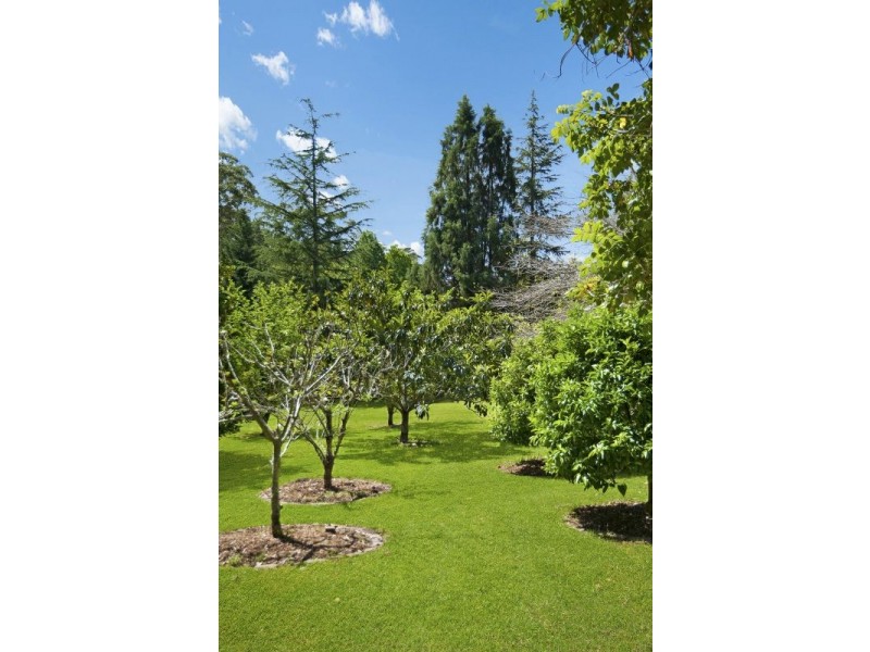 399 The Entrance Rd, Erina Heights NSW 2260