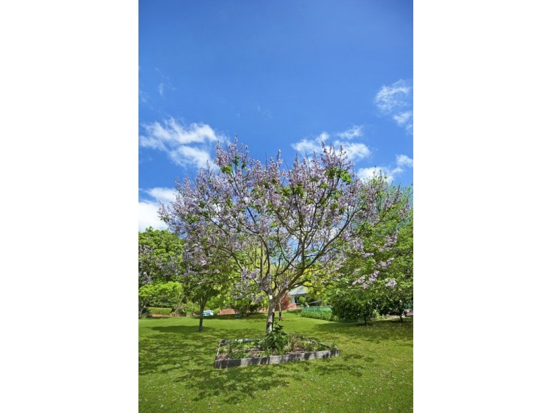 399 The Entrance Rd, Erina Heights NSW 2260