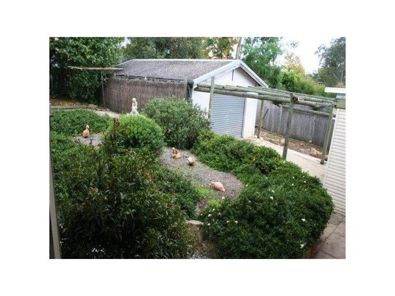 9 Wylde Street, Telopea NSW 2117