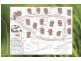 314 Avoca Drive, Avoca Beach NSW 2251