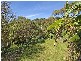 14 Parry Avenue, Terrigal NSW 2260