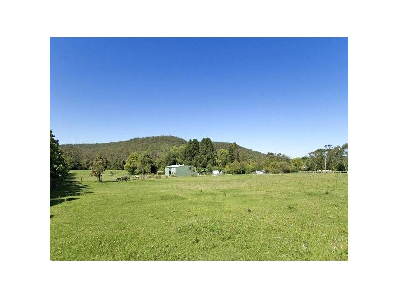 15 Fern Tree Lane, Palmdale NSW 2258