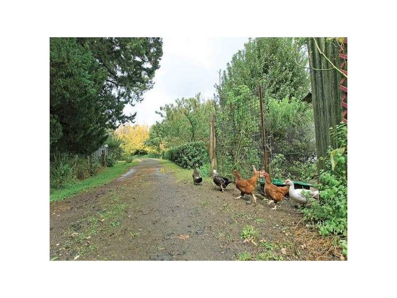 15 Fern Tree Lane, Palmdale NSW 2258