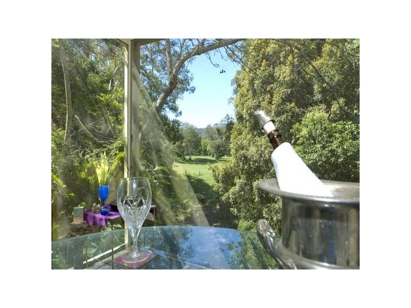 15 Fern Tree Lane, Palmdale NSW 2258