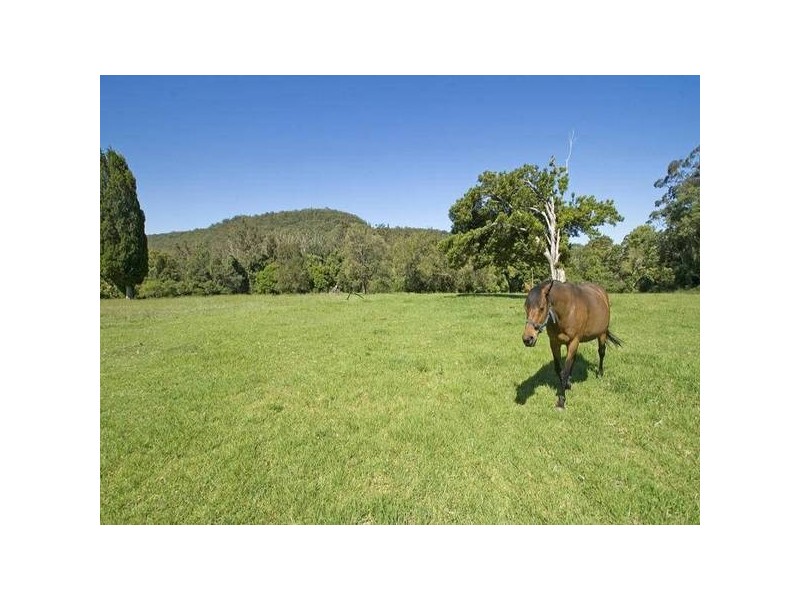 15 Fern Tree Lane, Palmdale NSW 2258