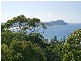 111 Scenic Highway, Terrigal NSW 2260