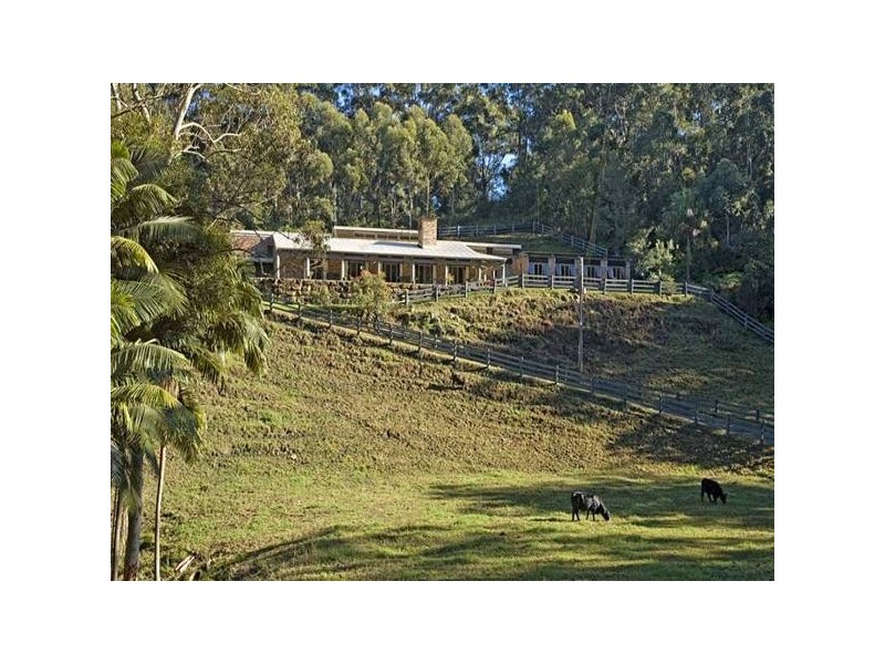 45 Noorumba Road, Springfield NSW 2250