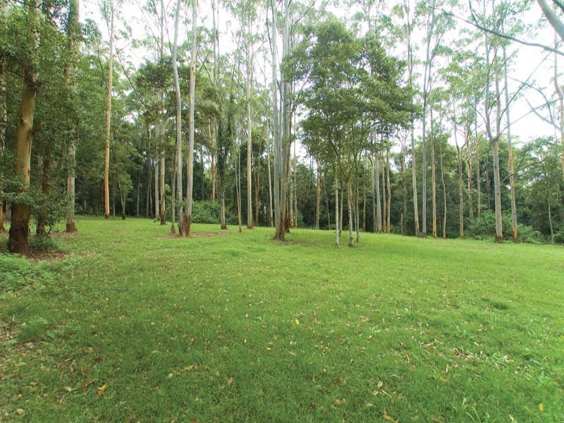 202 Wattle Tree Road, Holgate NSW 2250