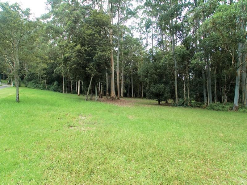 202 Wattle Tree Road, Holgate NSW 2250
