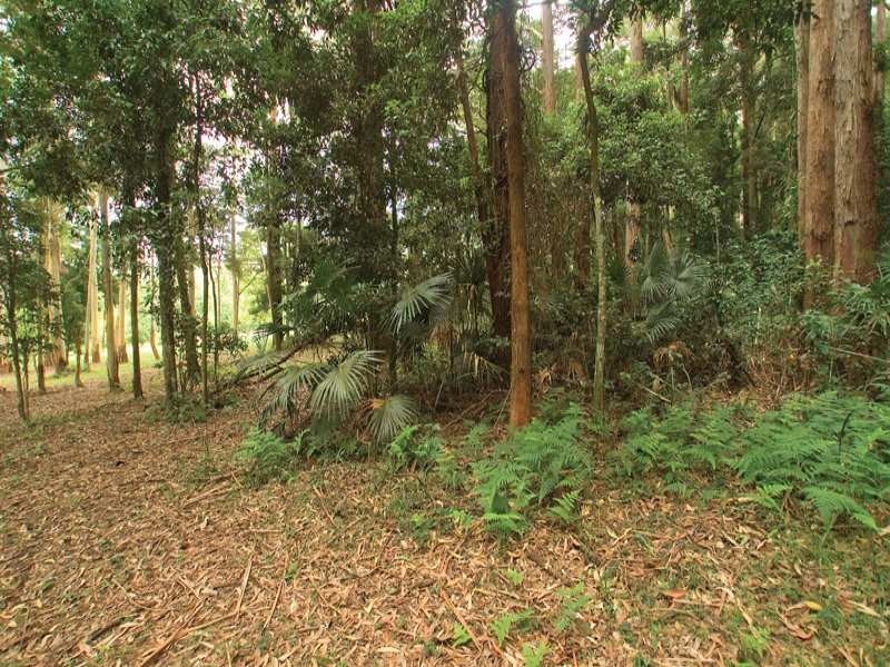202 Wattle Tree Road, Holgate NSW 2250