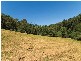 25 Beaufort Road West, Terrigal NSW 2260