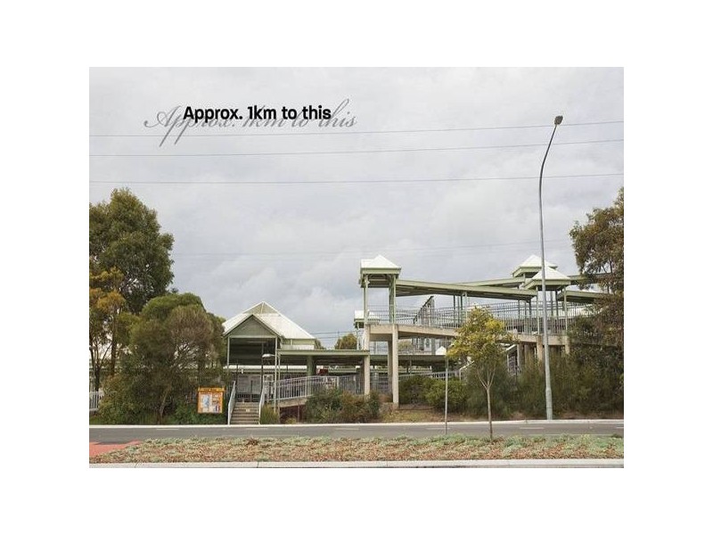 8 Kurume Place, Tuggerah NSW 2259