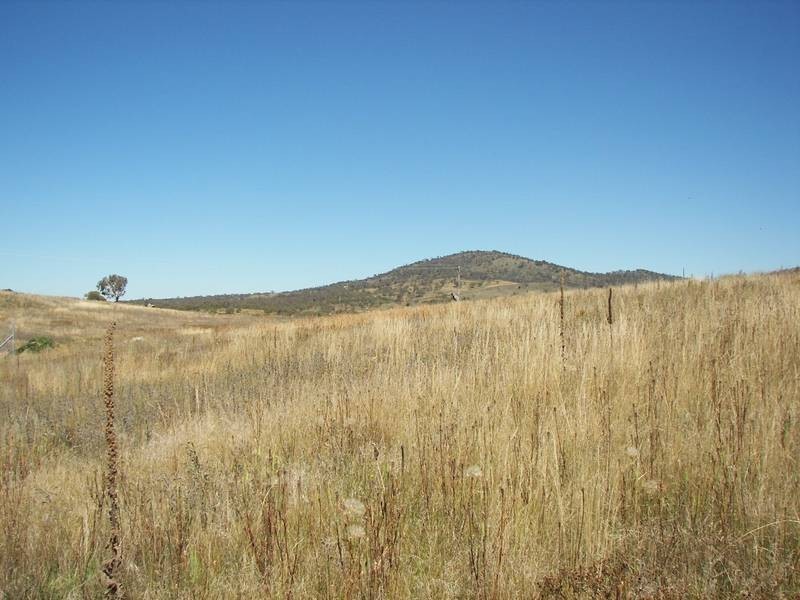 161 Gippsland Road, Jindabyne NSW 2627