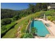 256 Scenic Highway, Terrigal NSW 2260