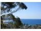 193 Scenic Highway, Terrigal NSW 2260