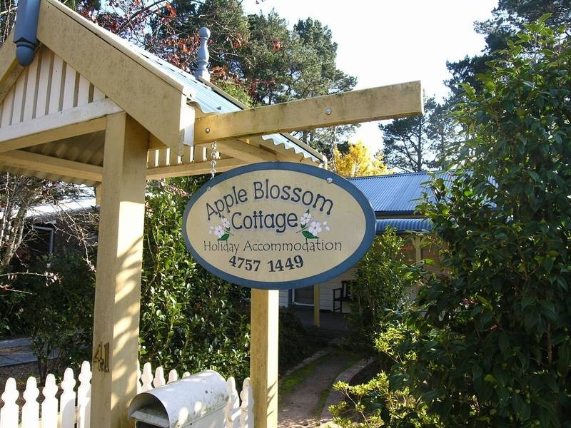 Wentworth Falls NSW 2782