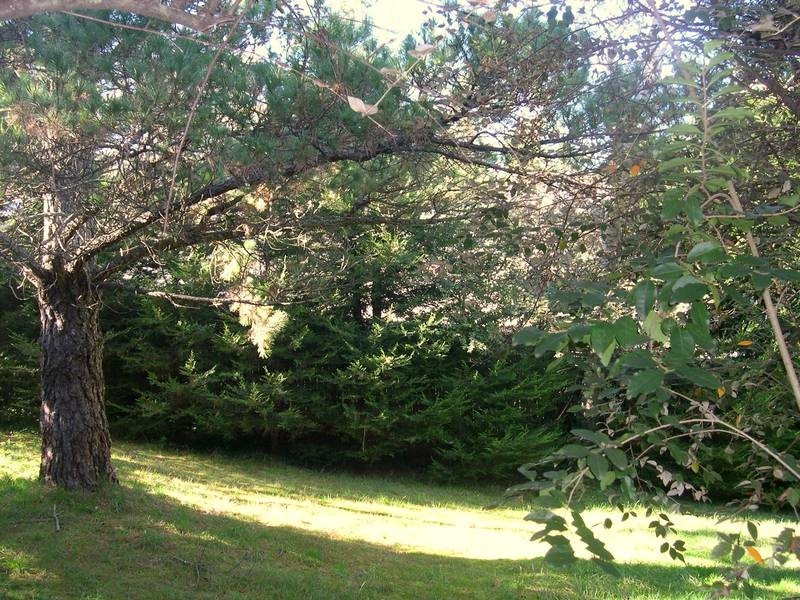 220-224 Leura Mall, Leura NSW 2780