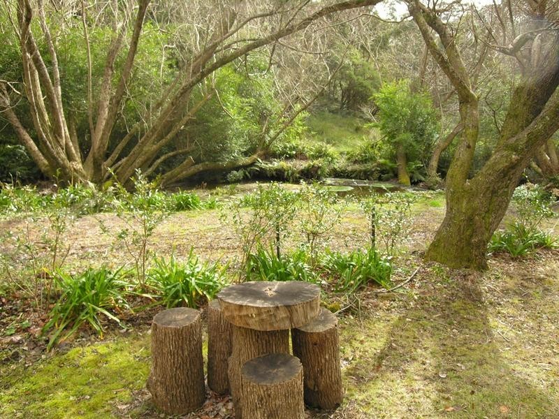 98 Megalong Street, Leura NSW 2780