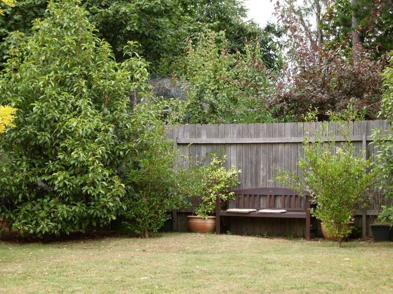 Wentworth Falls NSW 2782