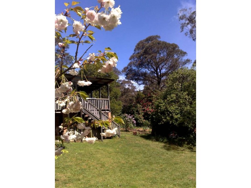 Katoomba NSW 2780