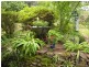 Katoomba NSW 2780