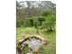 Katoomba NSW 2780