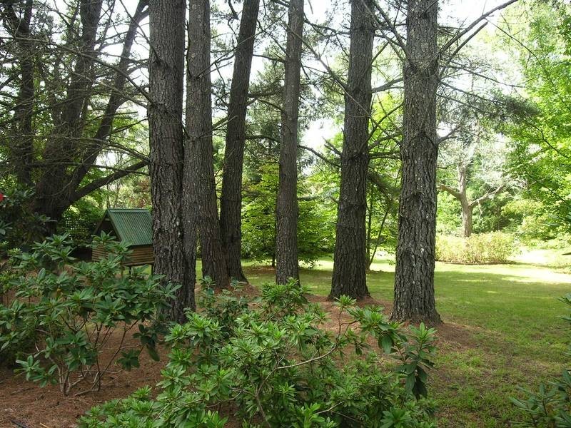 Wentworth Falls NSW 2782