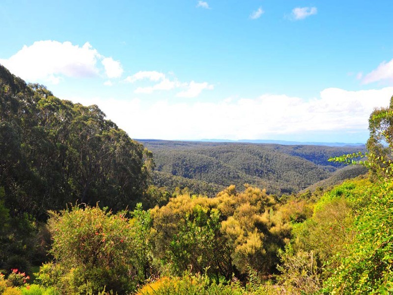 Wentworth Falls NSW 2782