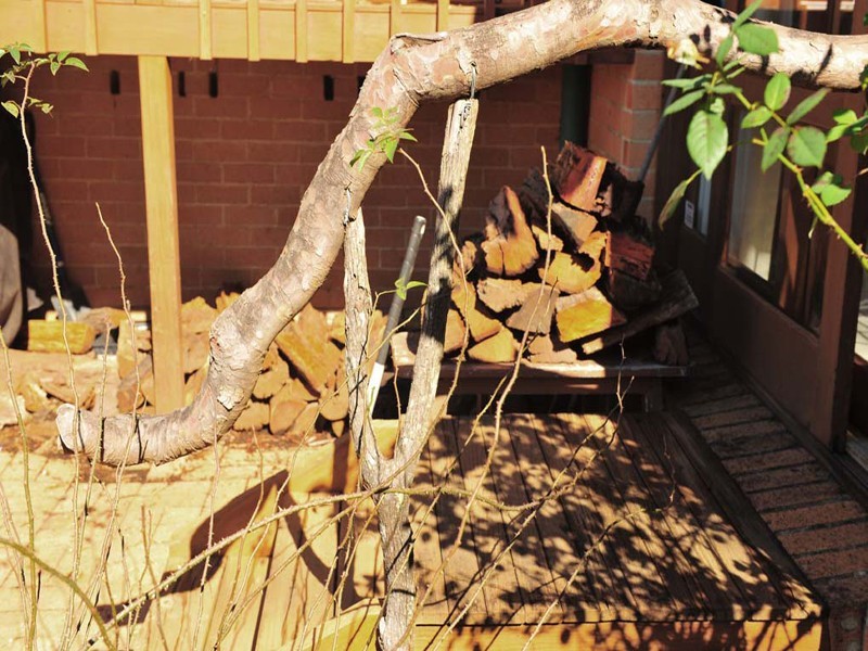 Wentworth Falls NSW 2782