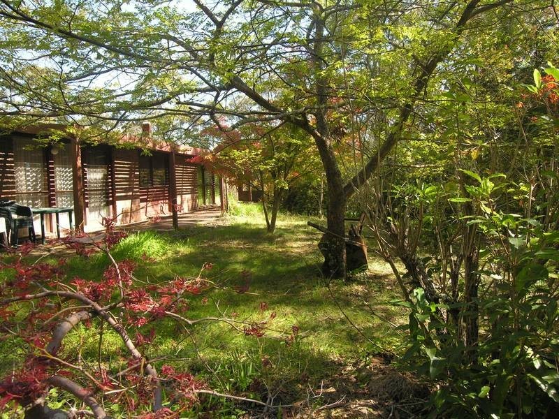 Wentworth Falls NSW 2782