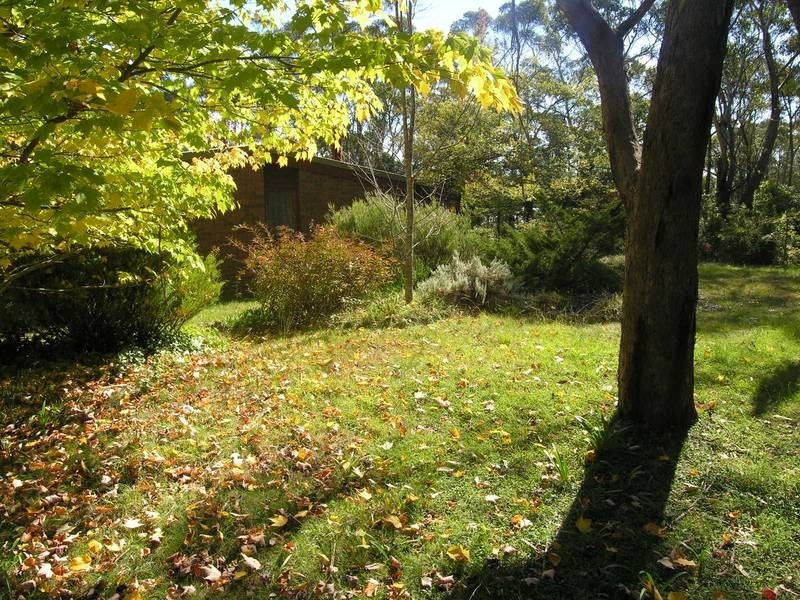 Wentworth Falls NSW 2782