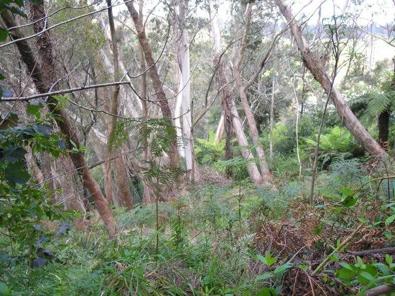 10 Railway Parade, Katoomba NSW 2780