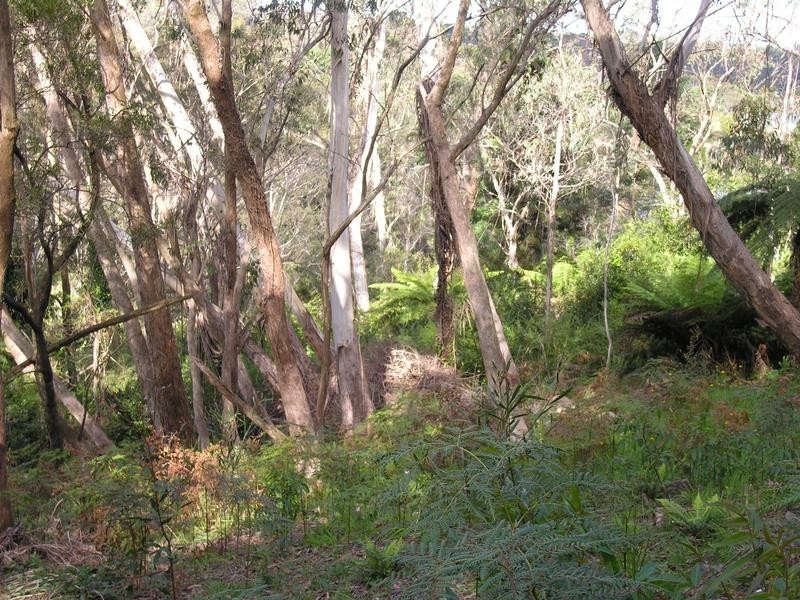 10 Railway Parade, Katoomba NSW 2780