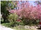 Leura NSW 2780
