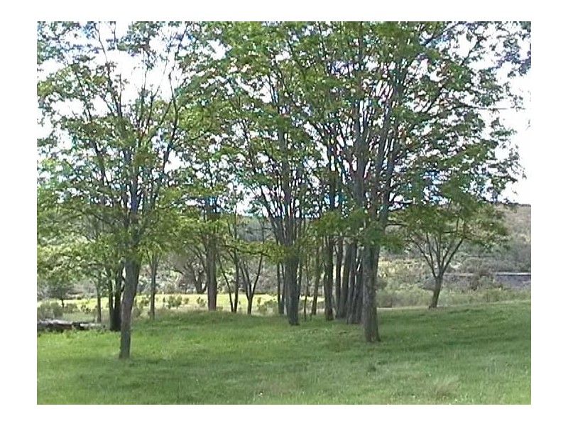 1 Main Street, Burraga NSW 2795