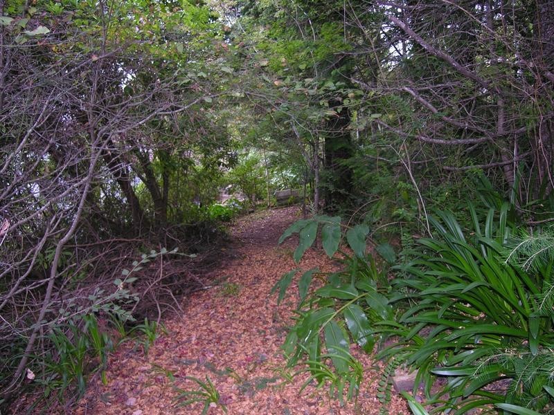 27 Henderson Road, Wentworth Falls NSW 2782