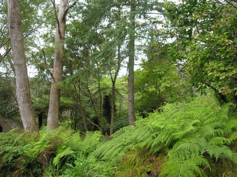 27 Henderson Road, Wentworth Falls NSW 2782