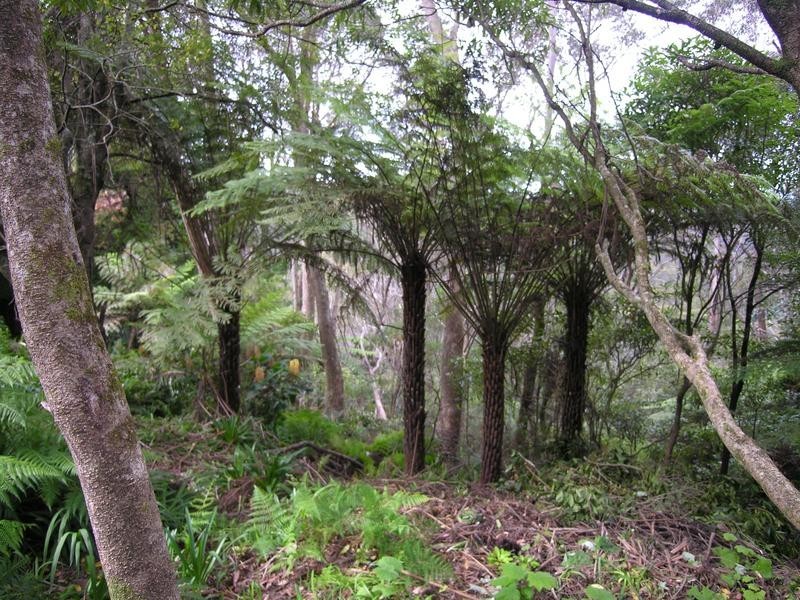 27 Henderson Road, Wentworth Falls NSW 2782