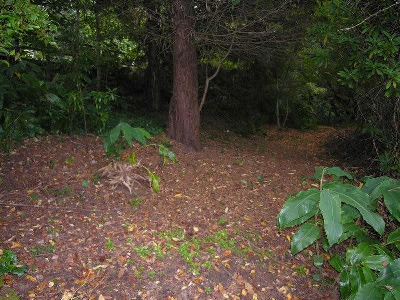 27 Henderson Road, Wentworth Falls NSW 2782