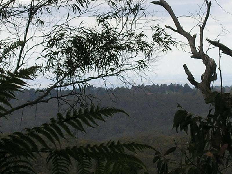 27 Henderson Road, Wentworth Falls NSW 2782