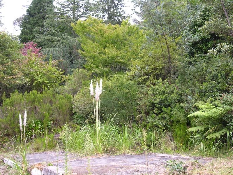 27 Henderson Road, Wentworth Falls NSW 2782